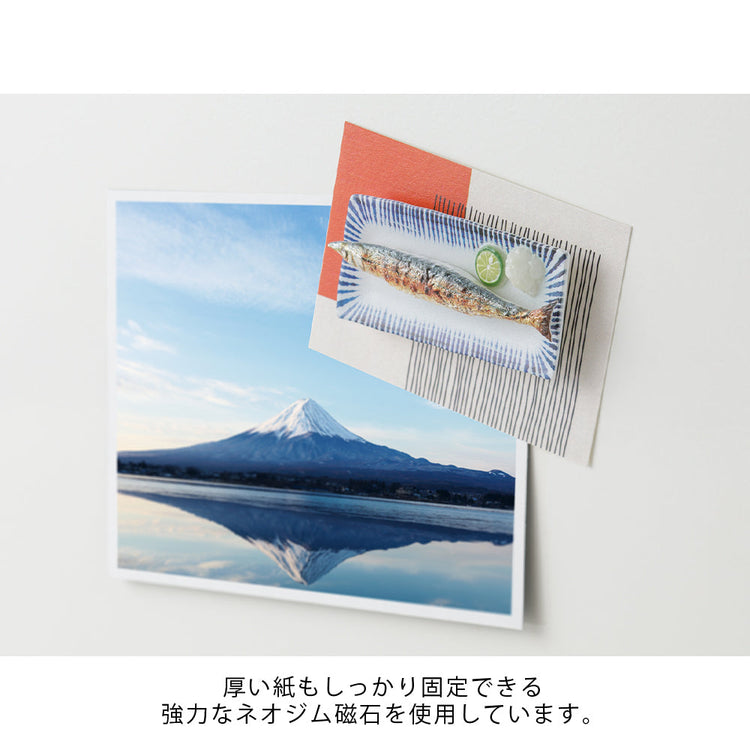 Midori Miniature Magnet - 1pc Samma