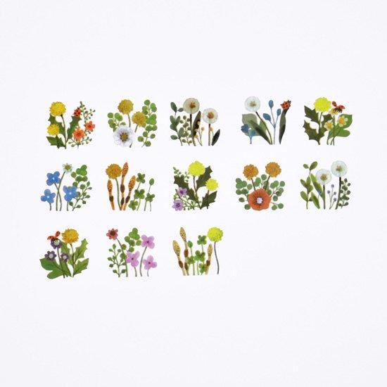 Bande Washi Roll Aufkleber Löwenzahn