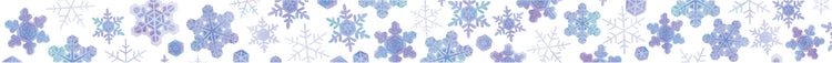 MT Maruichikyu Washi Tape - Snowflake