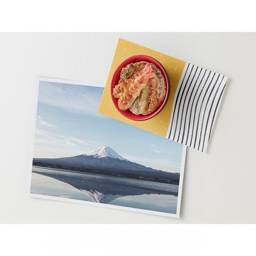Midori Miniature Magnet - Tendon
