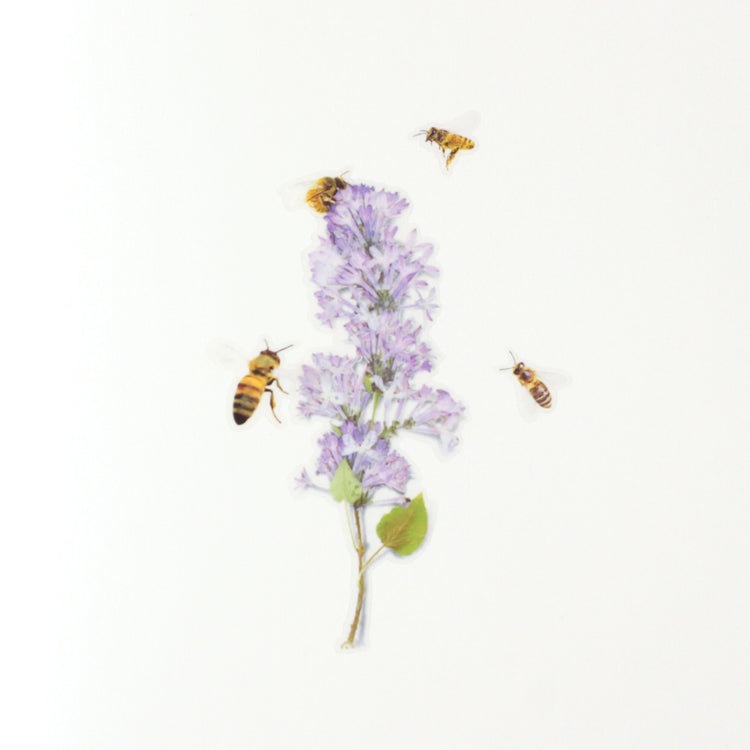 Appree Natur-Aufkleber Honigbiene
