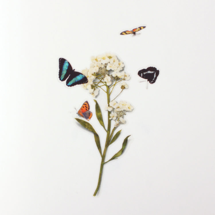 Appree Natur-Aufkleber Schmetterling