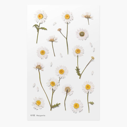 Appree Pressed Flower Sticker Marguerite