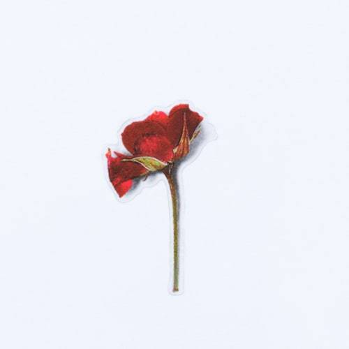 Appree Pressed Flower Sticker - Mini Rose