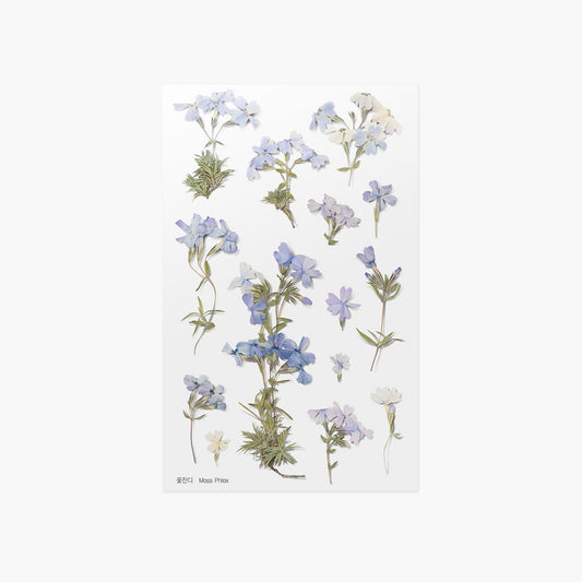 Appree Pressed Flower Sticker Moss Phlox