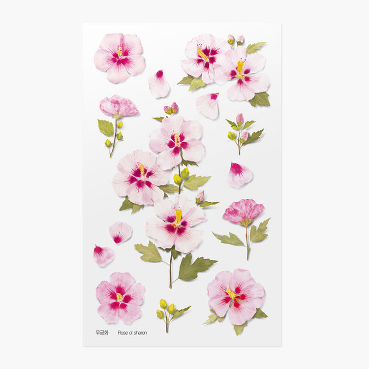 Appree Pressed Flower Sticker Rose of Sharon