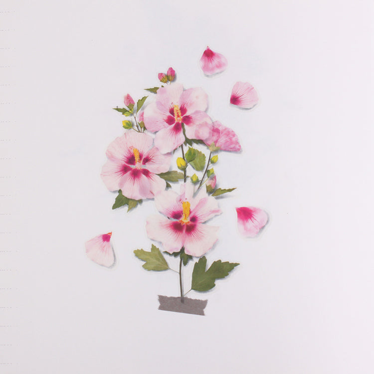 Appree Pressed Flower Sticker Rose of Sharon