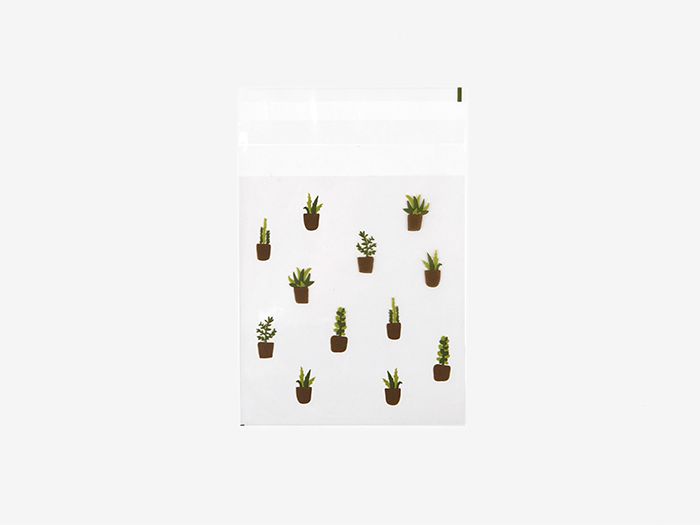 DailyLike Succulent Small Clear Gift Bag  (DSBS02) | Washi Wednesday